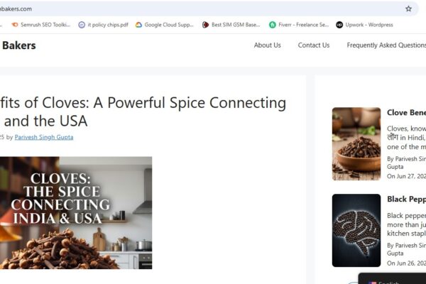 Indian Bakers – USA Blog