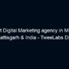 The best Digital Marketing agency in MUNGELI, Chhattisgarh & India – TweeLabs Digital