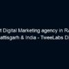 The best Digital Marketing agency in RAIGARH, Chhattisgarh & India – TweeLabs Digital