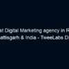 The best Digital Marketing agency in RAIPUR, Chhattisgarh & India – TweeLabs Digital