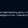 The best Digital Marketing agency in SUKMA, Chhattisgarh & India – TweeLabs Digital