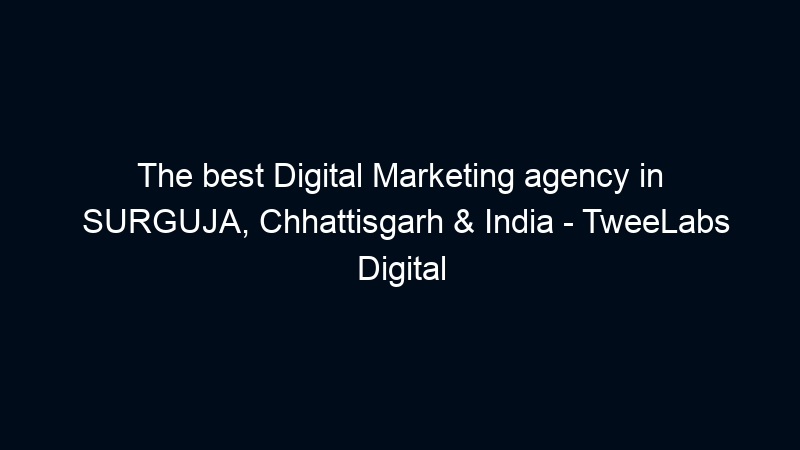 The best Digital Marketing agency in SURGUJA, Chhattisgarh & India – TweeLabs Digital