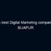 The best Digital Marketing company in BIJAPUR