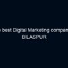 The best Digital Marketing company in BILASPUR