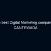 The best Digital Marketing company in DANTEWADA