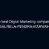 The best Digital Marketing company in GAURELA-PENDRA-MARWAHI