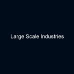 Large Scale Industries