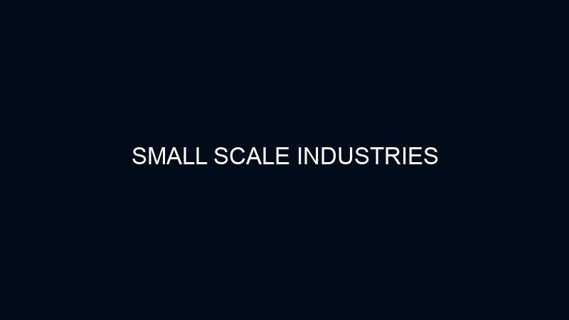 SMALL SCALE INDUSTRIES