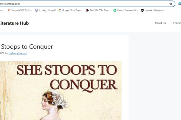 The Literature Hub